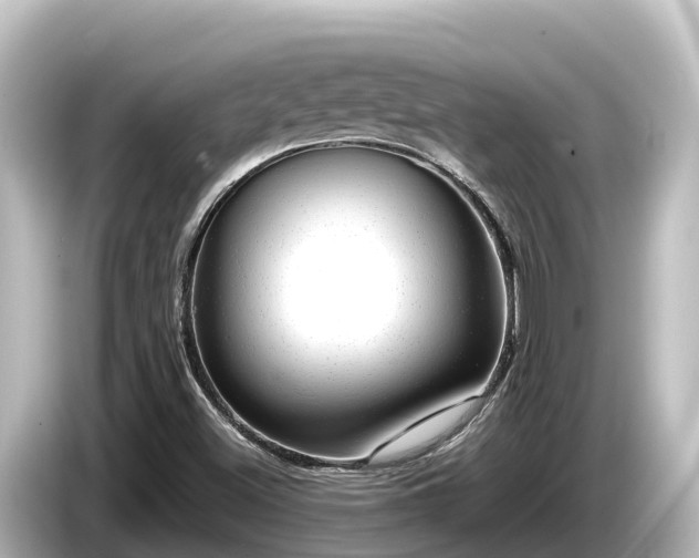 X0000085311500200703161442