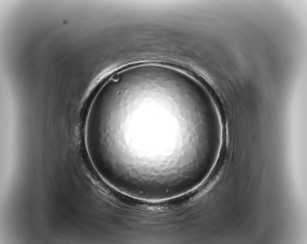 X0000085311501200703161442