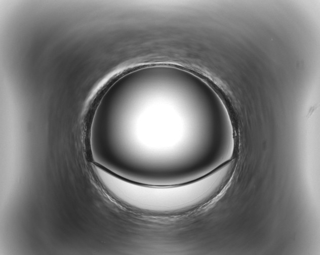 X0000085311502200703161442