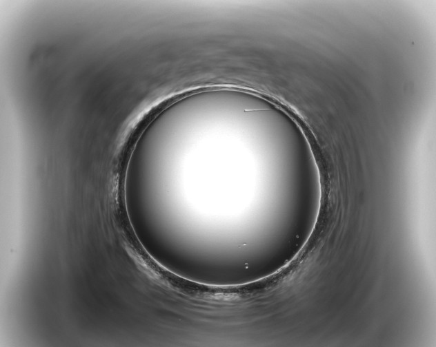 X0000085311503200703161442