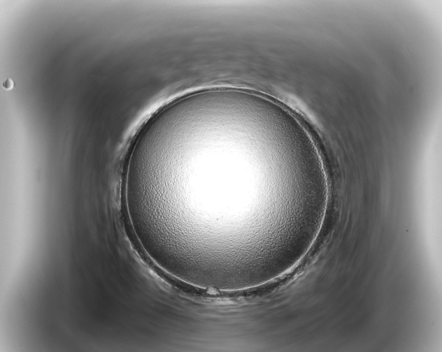 X0000085311504200703161442