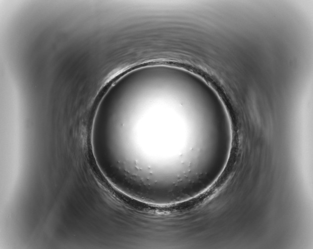 X0000085311505200703161442