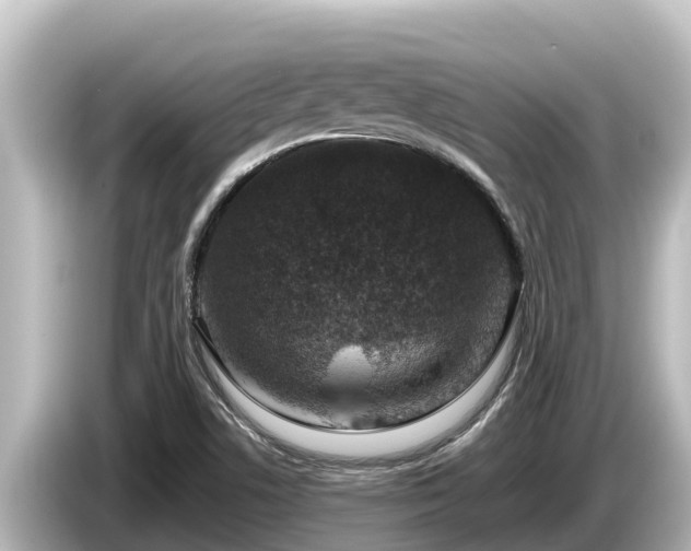 X0000085311506200703161442