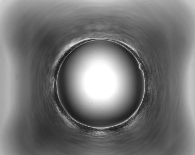 X0000085311507200703161442