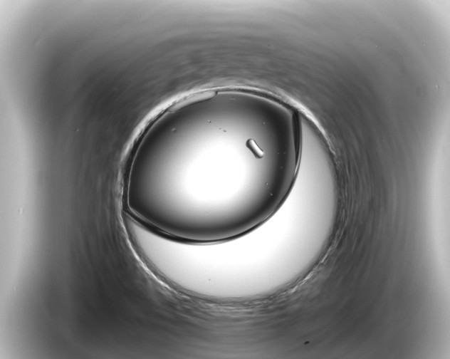X0000085311508200703161442