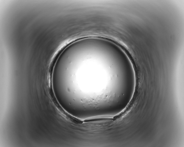 X0000085311509200703161442