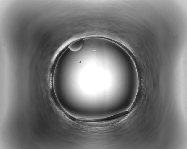 X0000085311510200703161442
