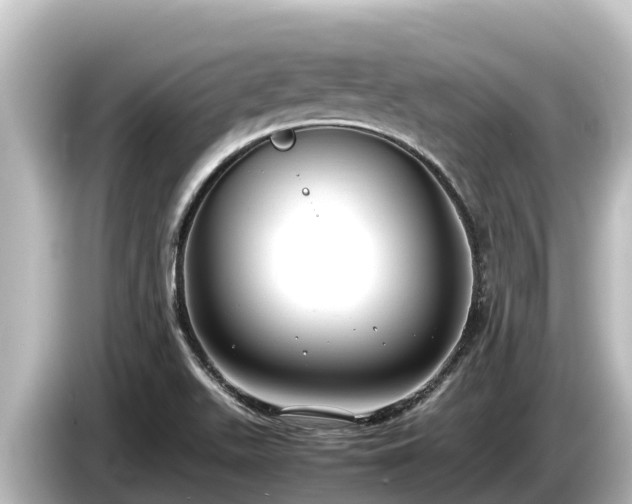 X0000085311511200703161443