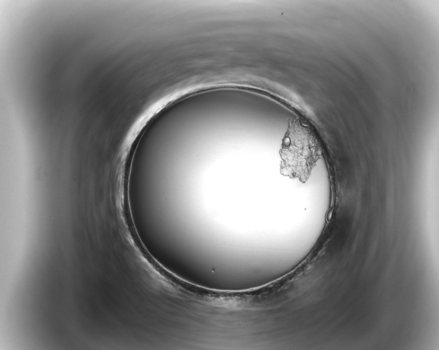 X0000085311512200703161443