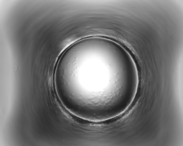 X0000085311513200703161443