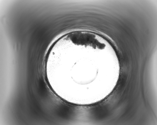 X0000085311514200703161443