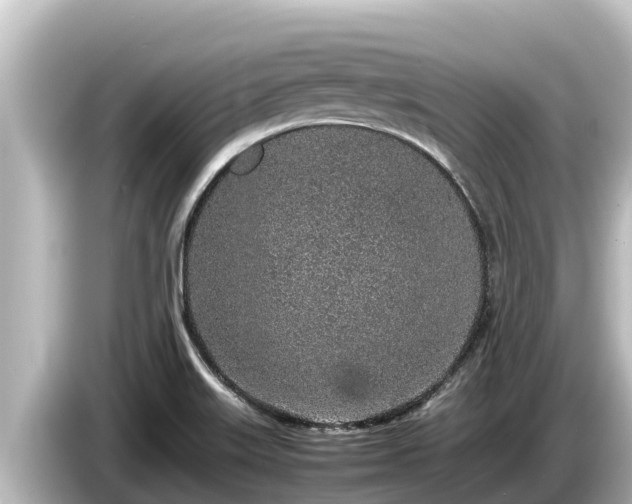 X0000085311515200703161443