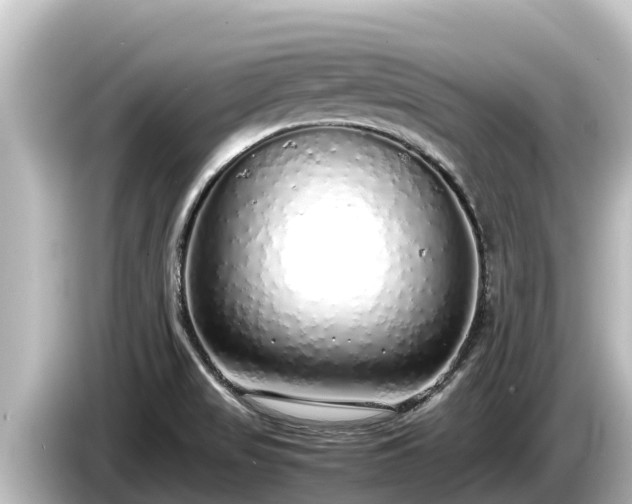 X0000085311517200703161443