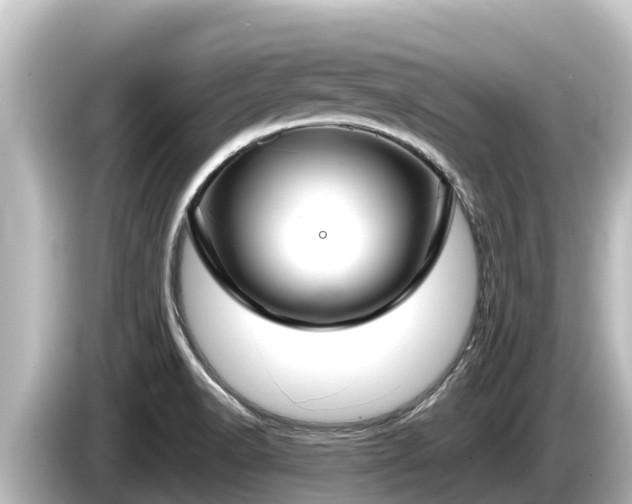 X0000085311518200703161443