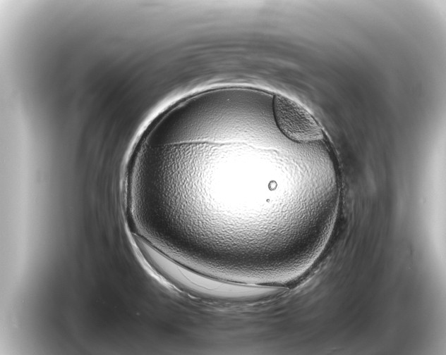 X0000085311519200703161443