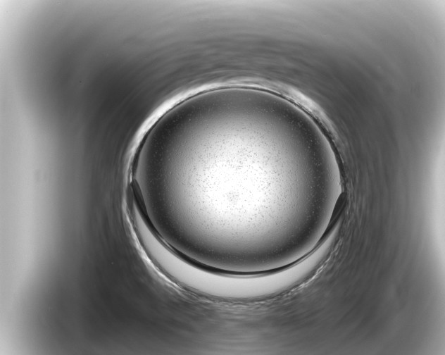 X0000085311520200703161443