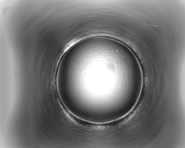 X0000085311521200703161443