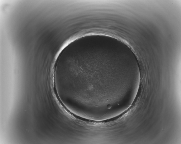 X0000085311522200703161443