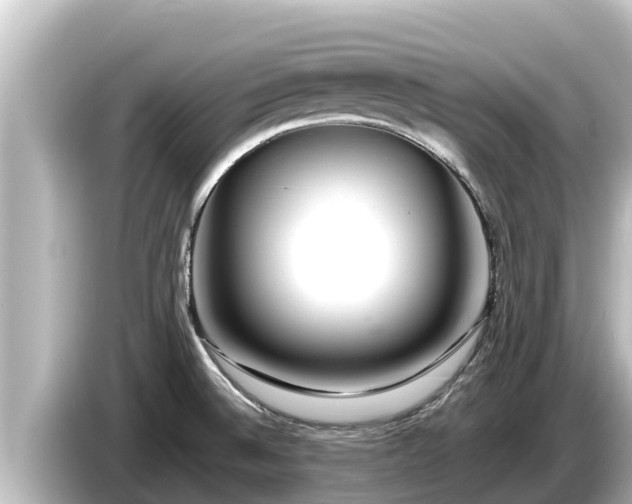 X0000085311524200703161443