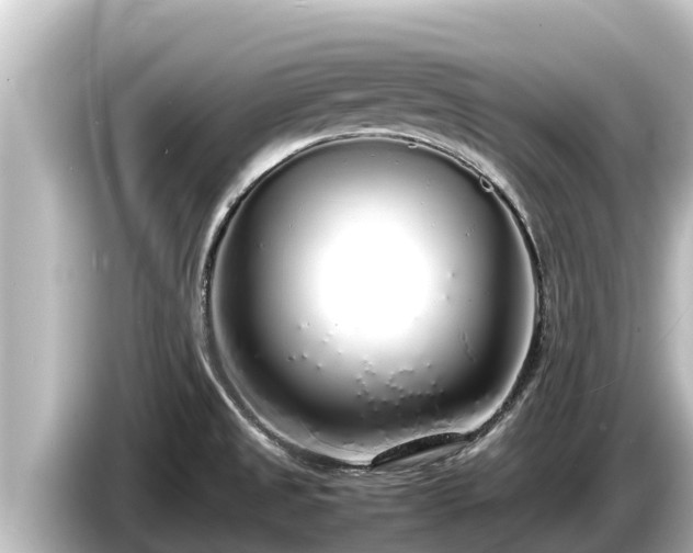 X0000085311525200703161443