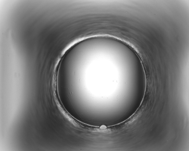 X0000085311526200703161443