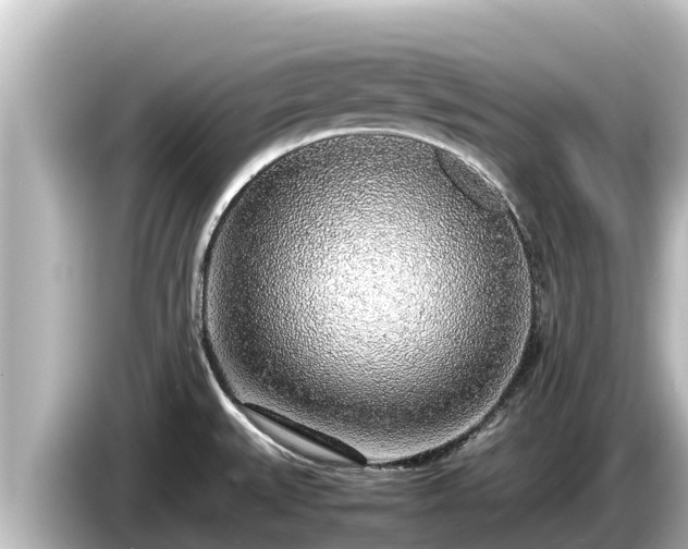X0000085311527200703161443
