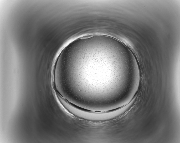 X0000085311528200703161443