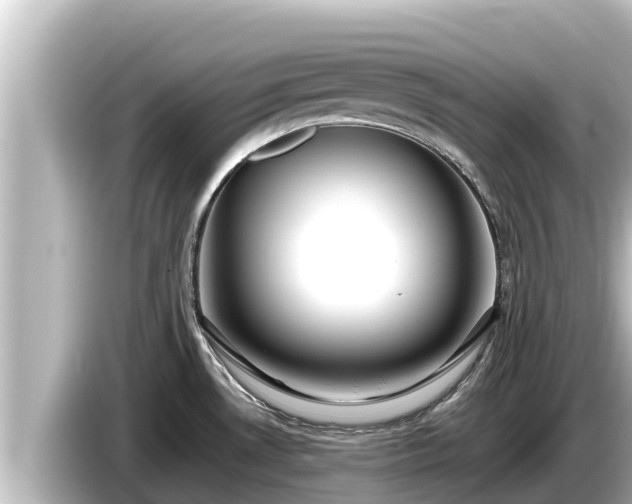 X0000085311530200703161443