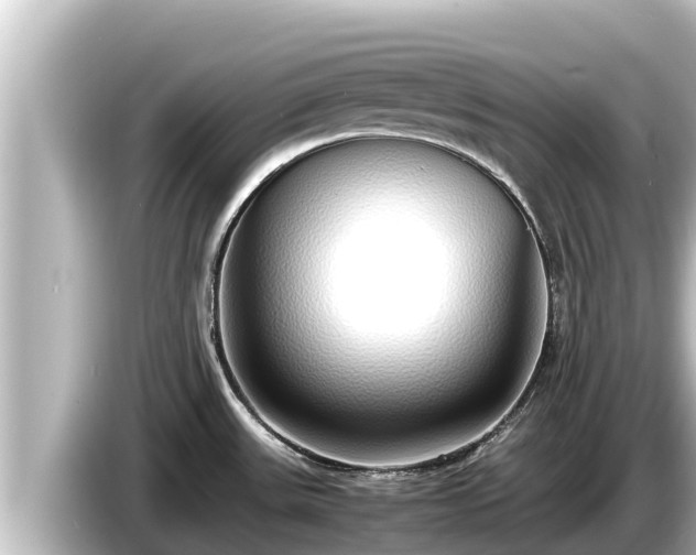 X0000085311531200703161443