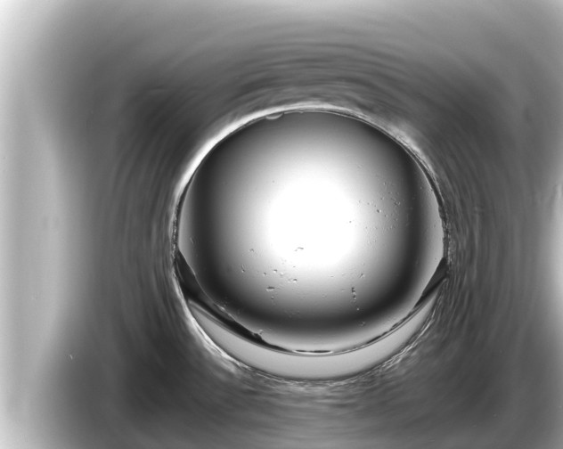 X0000085311532200703161443