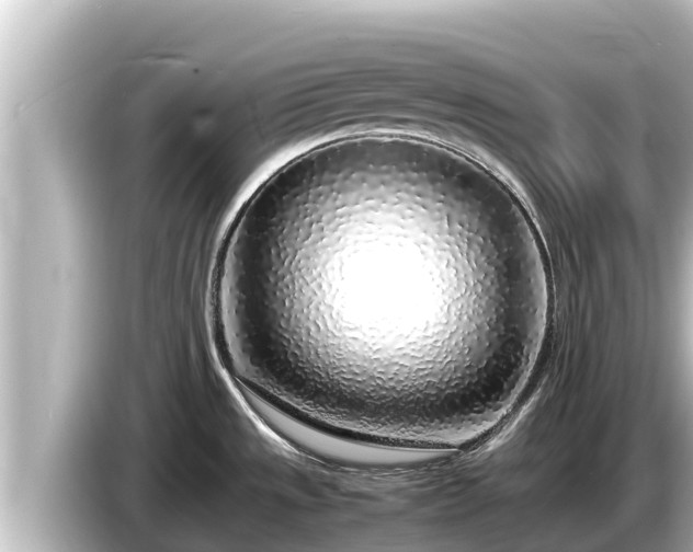 X0000085311533200703161443