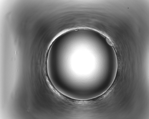 X0000085311534200703161443