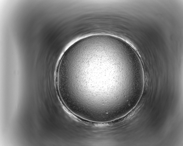 X0000085311535200703161443