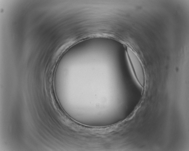 X0000085310001200703231936