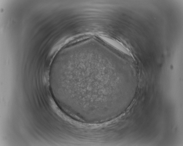 X0000085310002200703231936