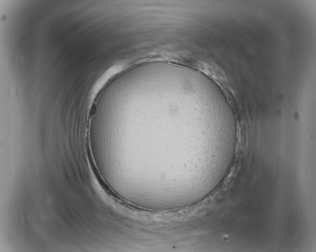 X0000085310003200703231936