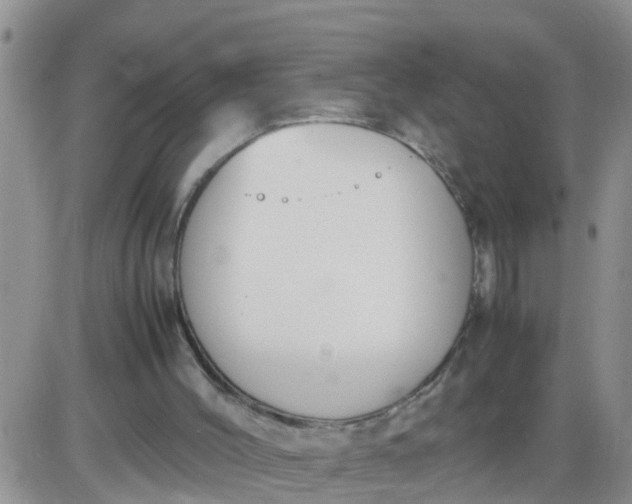 X0000085310004200703231935