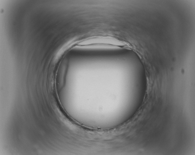 X0000085310005200703231935