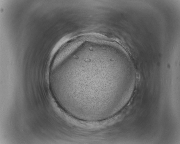 X0000085310006200703231935