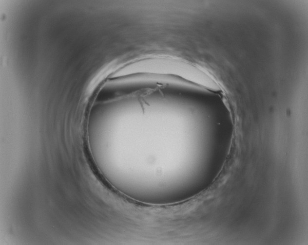 X0000085310007200703231935