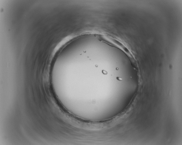 X0000085310008200703231935