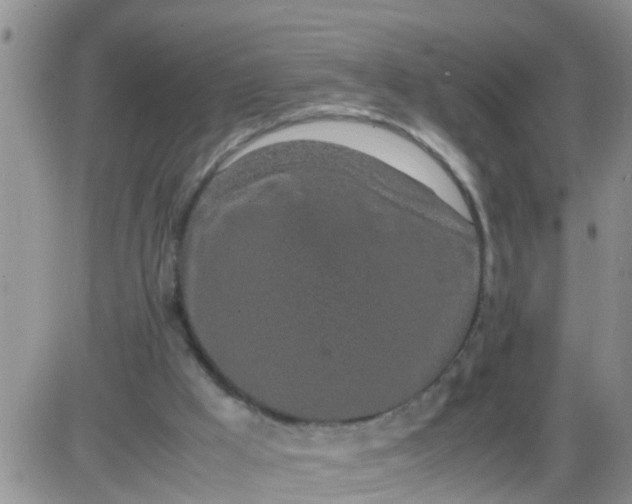 X0000085310009200703231935