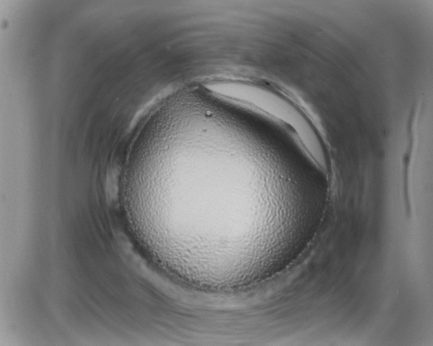 X0000085310010200703231935