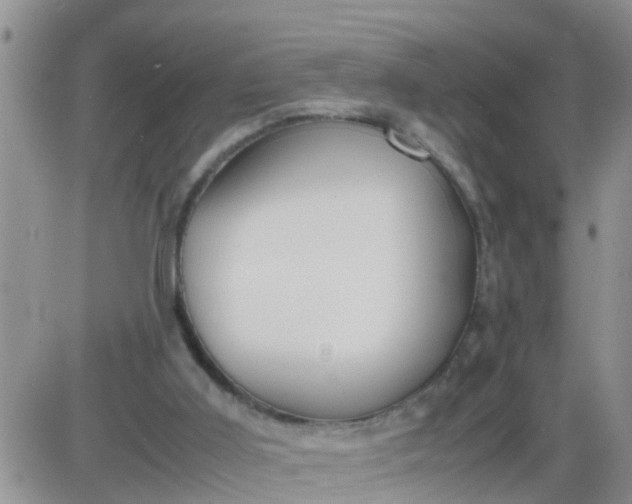 X0000085310011200703231935