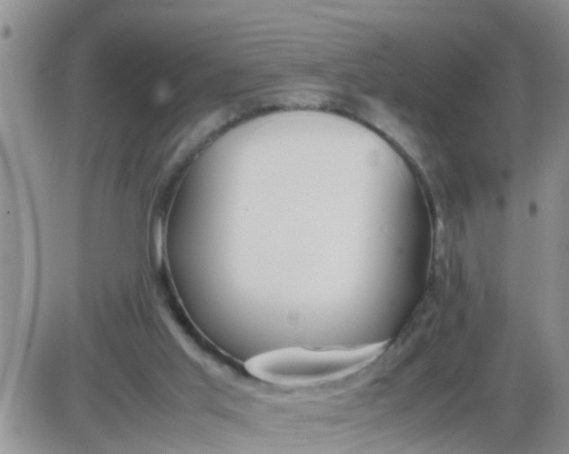 X0000085310013200703231935