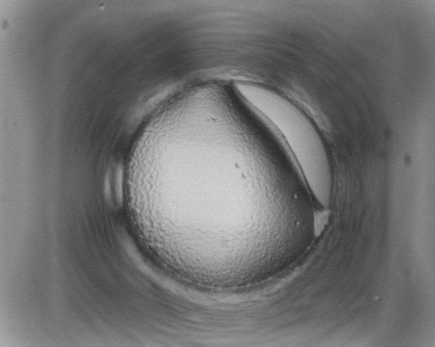 X0000085310014200703231935