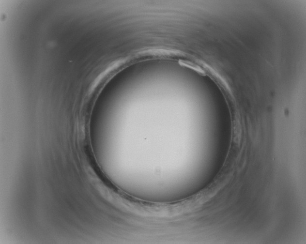 X0000085310015200703231935