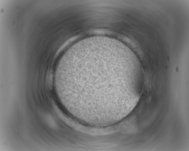 X0000085310016200703231935