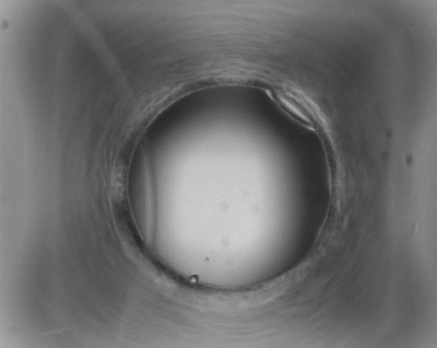 X0000085310017200703231935