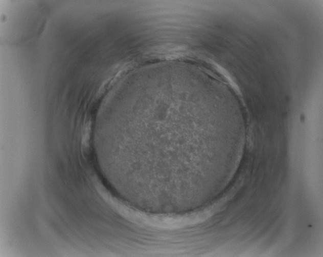 X0000085310018200703231935